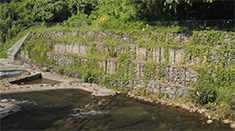渠務署生物多樣性的考慮，在修建河堤時，以石籠取代鋼筋混凝土等物料，石籠罅隙有助營造動植物生態環境。（相片由「賽馬會惜水‧識河計劃」提供）