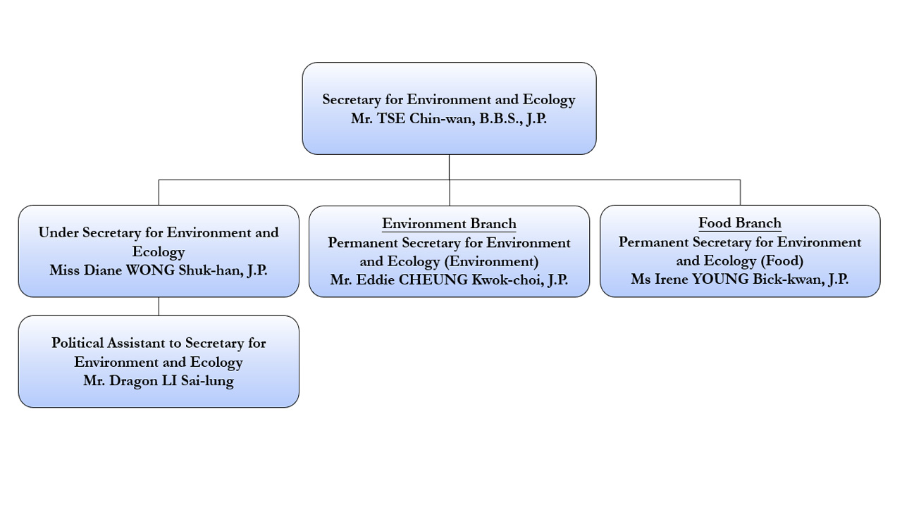 Organisation Chart