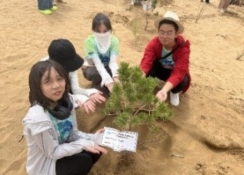 Students learning SD-related knowledge Students learning SD-related knowledge