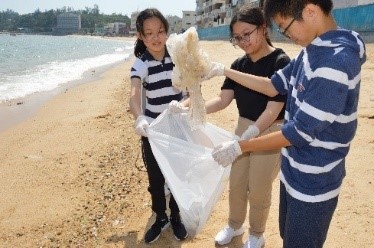 Students learning SD-related knowledge Students learning SD-related knowledge