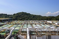 香港共拥有11间主要污水处理厂，其中昂船洲污水处理厂产生的污泥约占全港70%。