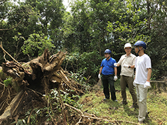 郊野公園受歷來最廣泛影響。